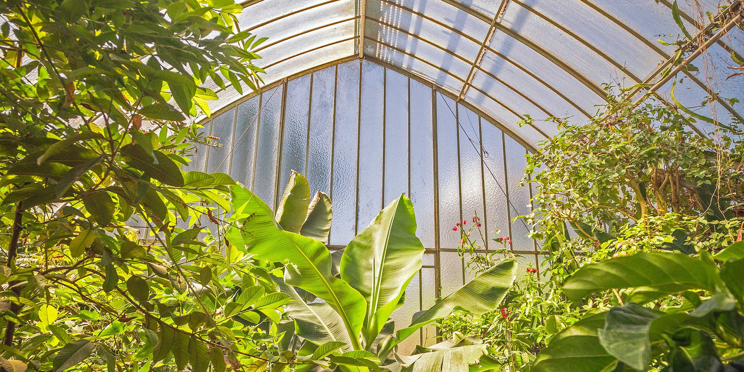 <strong>How to Upgrade Your Outdoor Space Sustainably</strong>