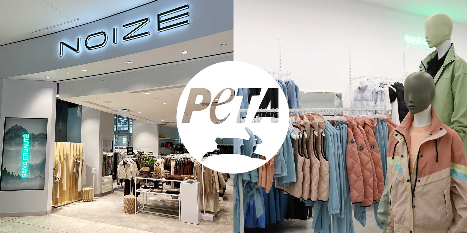 <strong>Catching up with Mayer Vafi, Noize’s Managing Director</strong>