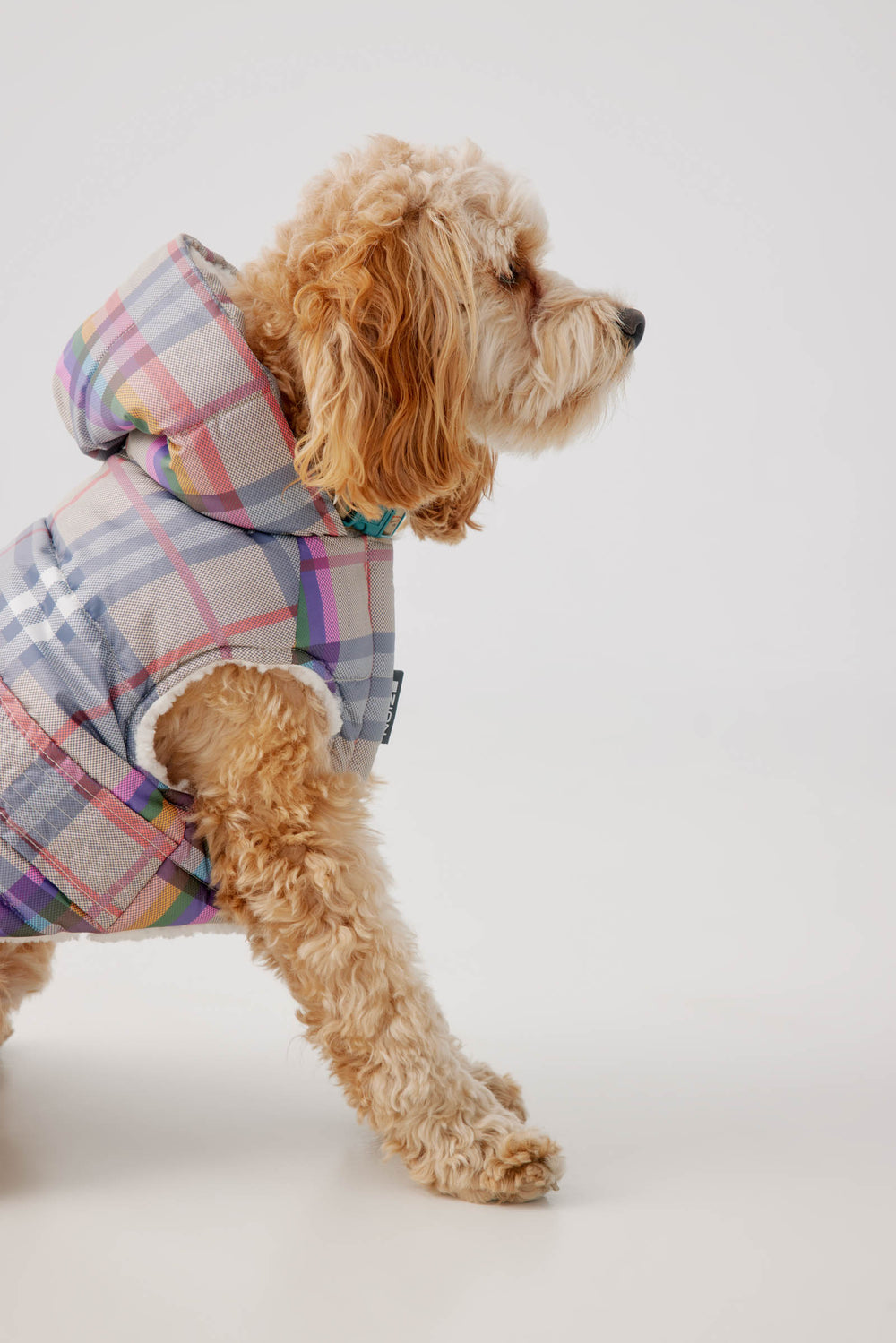 Plaid