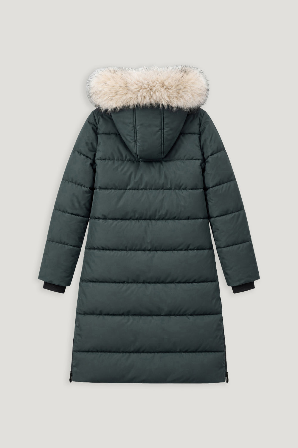Spruce