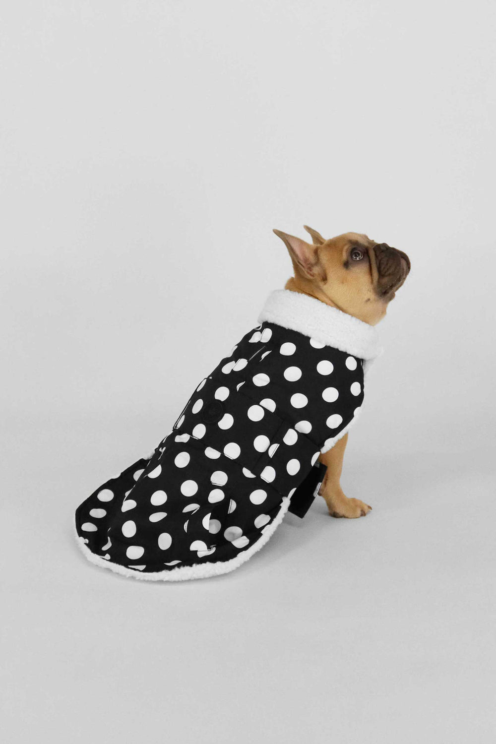 Black Polka Dots