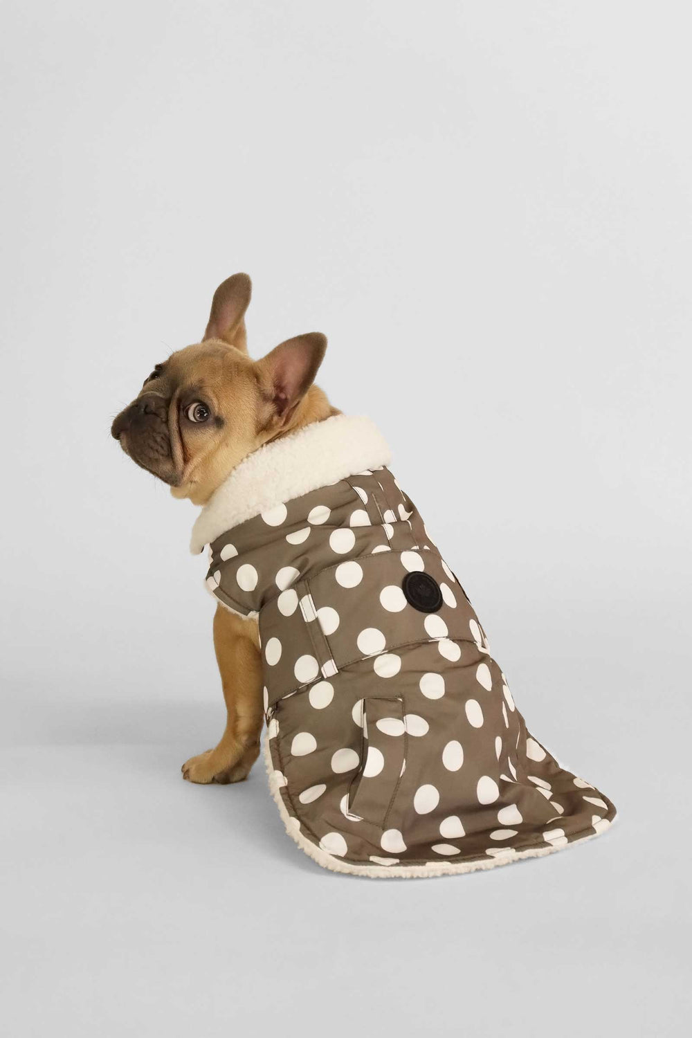 Leafless Polka Dots