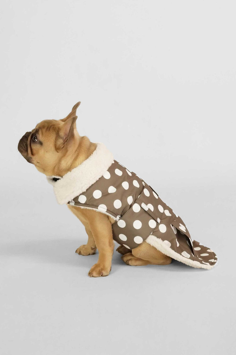 Leafless Polka Dots