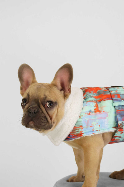 Ski Patrol/Cockatoo Aop