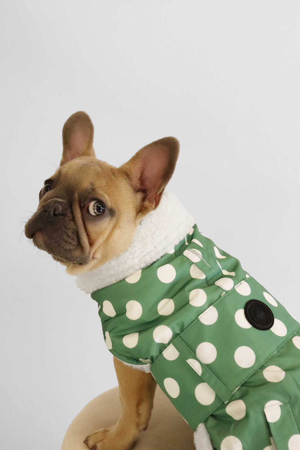 Wavelite Polka Dots