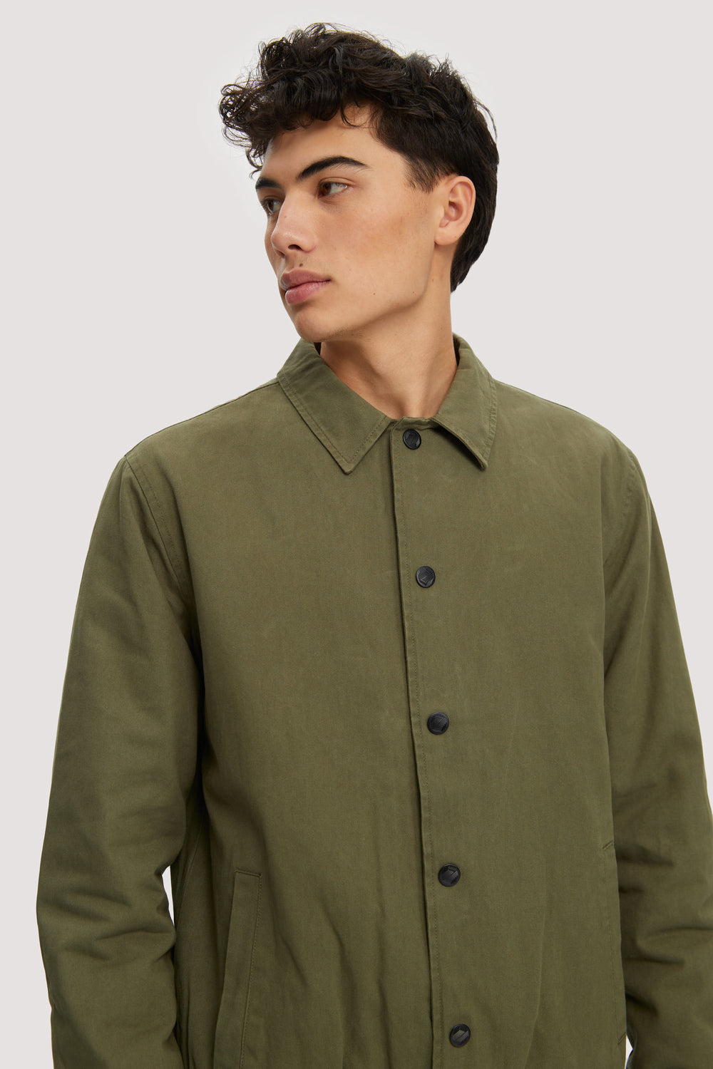 Bronze Green