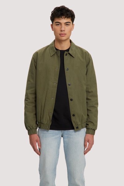 Bronze Green