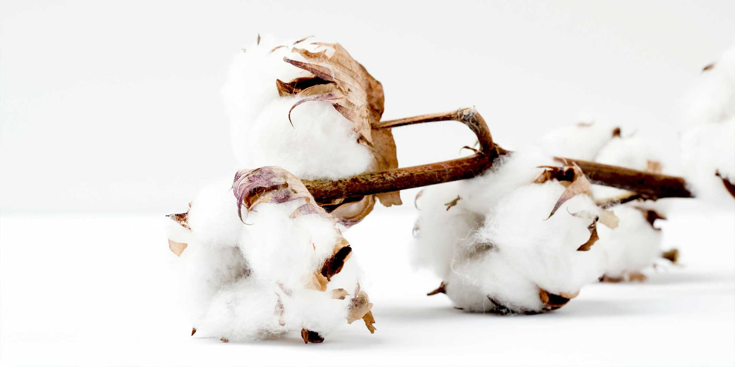 <strong>5 Reasons to Ditch Regular Cotton and Invest in Organic</strong>