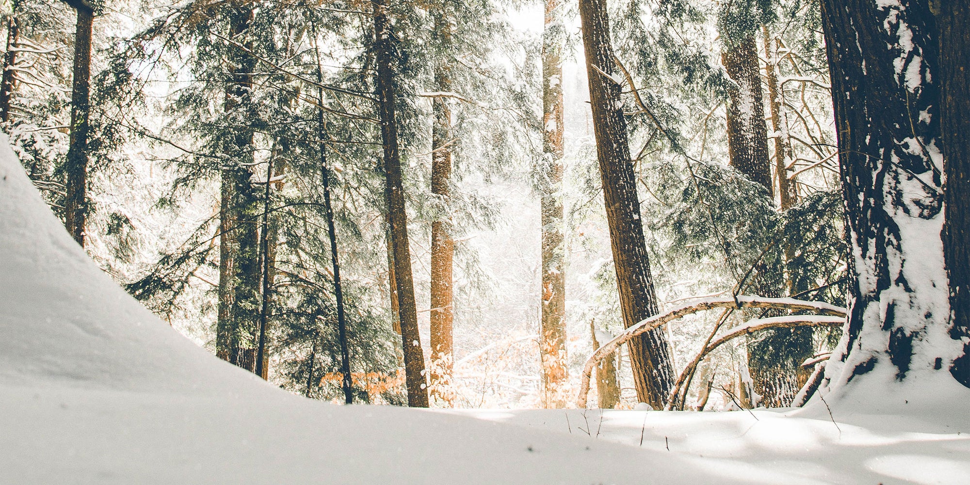 <strong>20 Fun Winter Activities To Get You Through The Cold Months</strong>