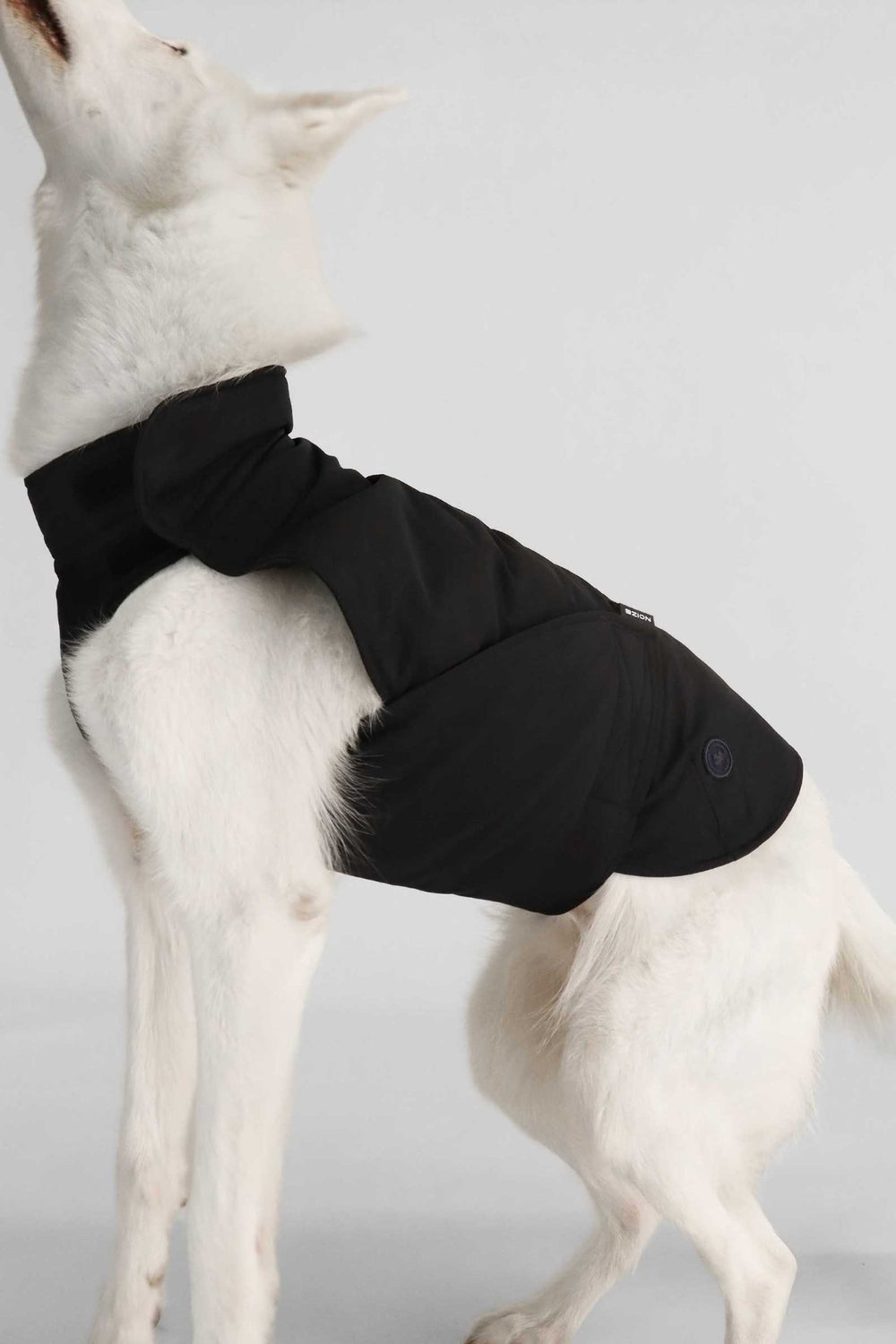 Buddie - Black - Black (3)