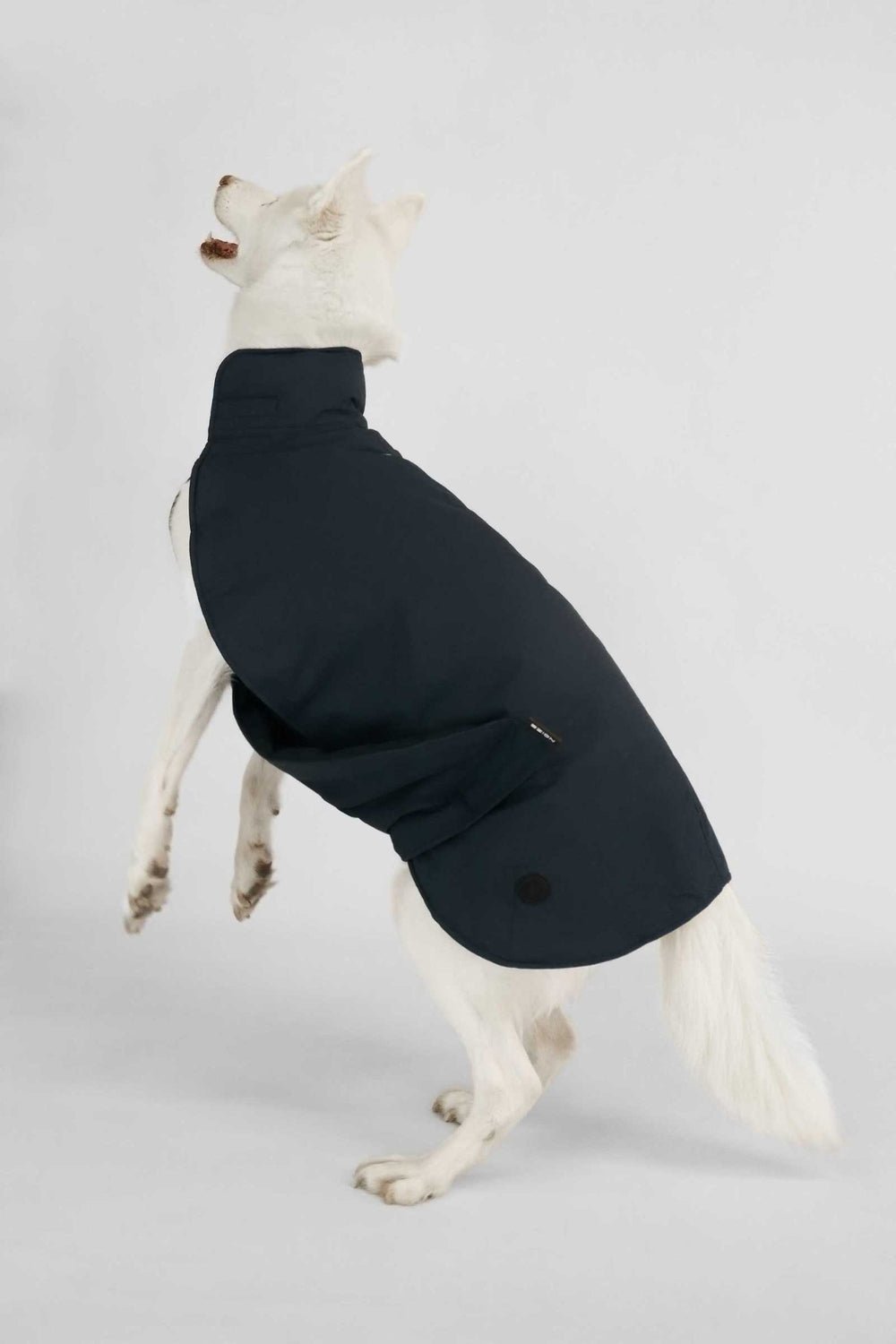 Buddie - Navy Eclipse - Navy Eclipse (2)