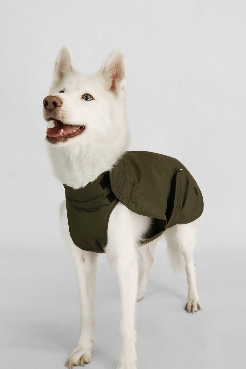 Buddie - Uniform Green - Uniform Green (1)