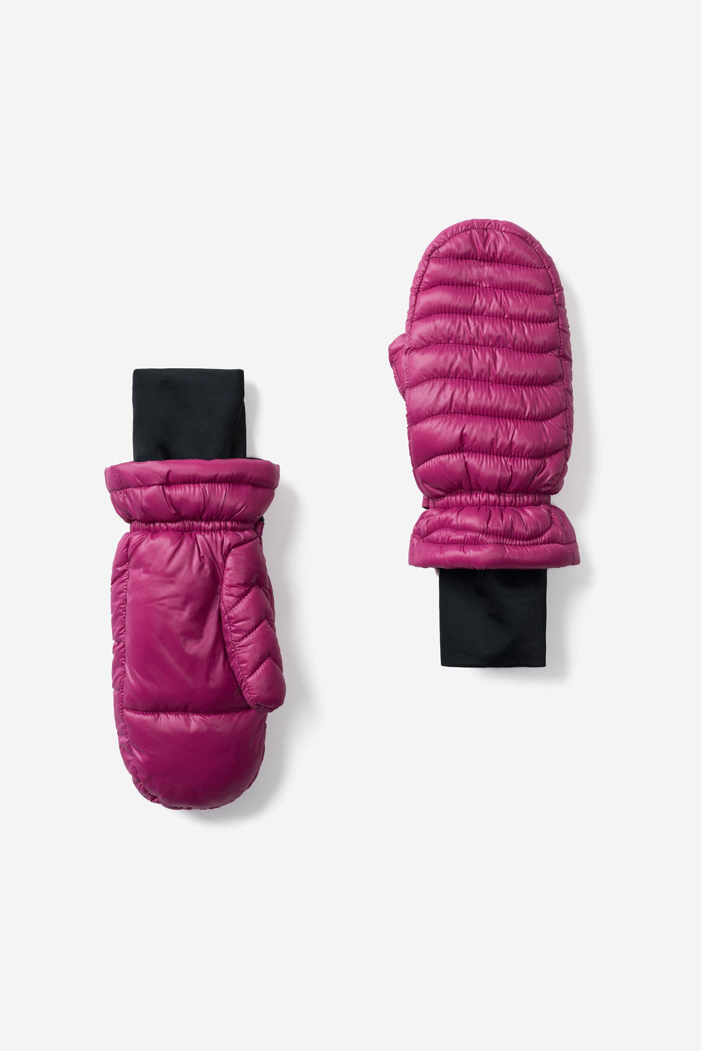 Elsa - Fuchsia - Fuchsia (1)