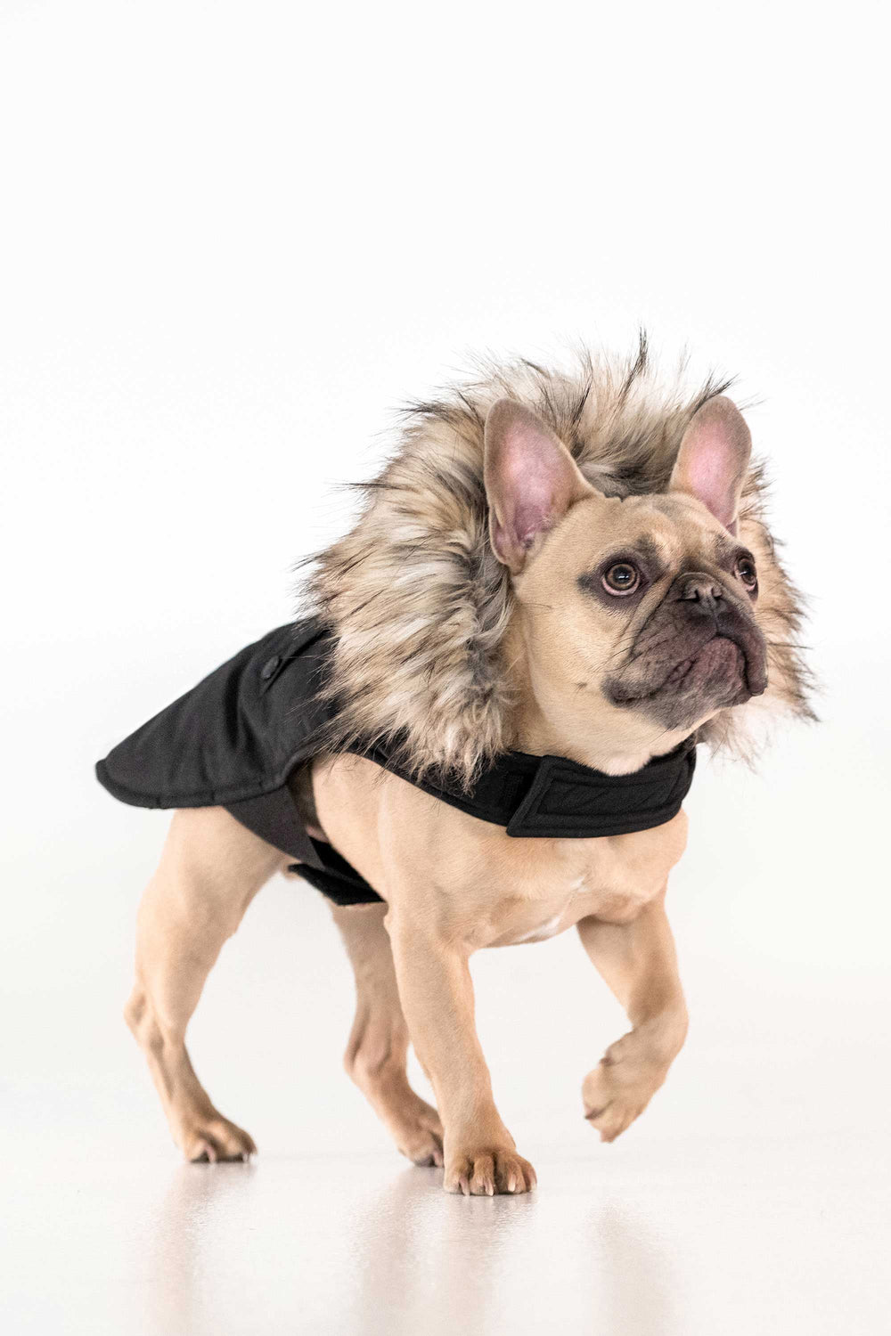 Karter - Black - Black (5)