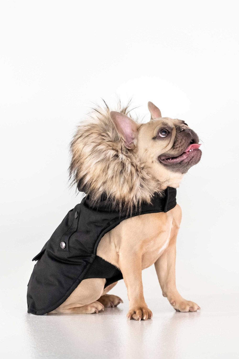 Karter - Black - Black (2)