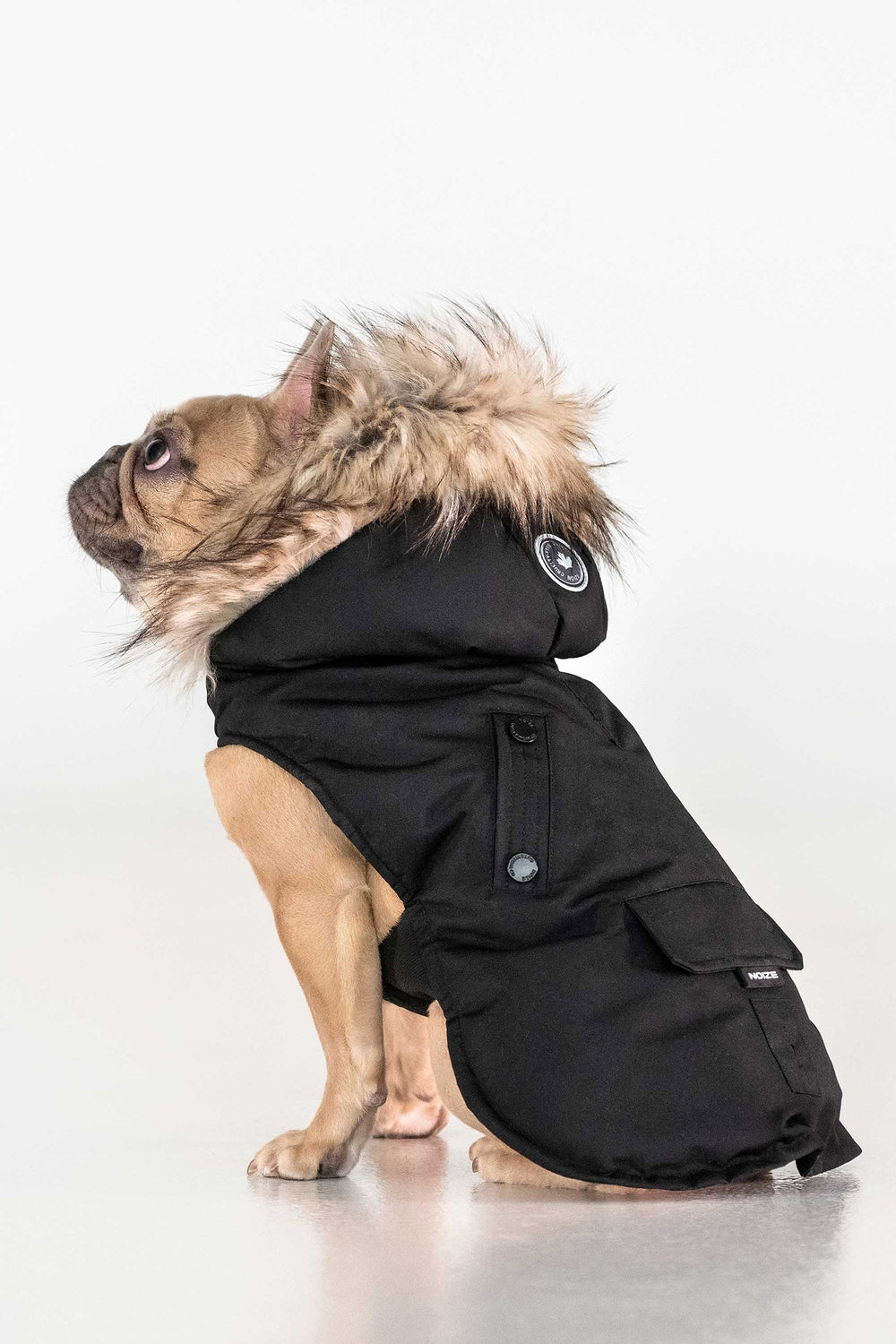Karter - Black - Black (4)