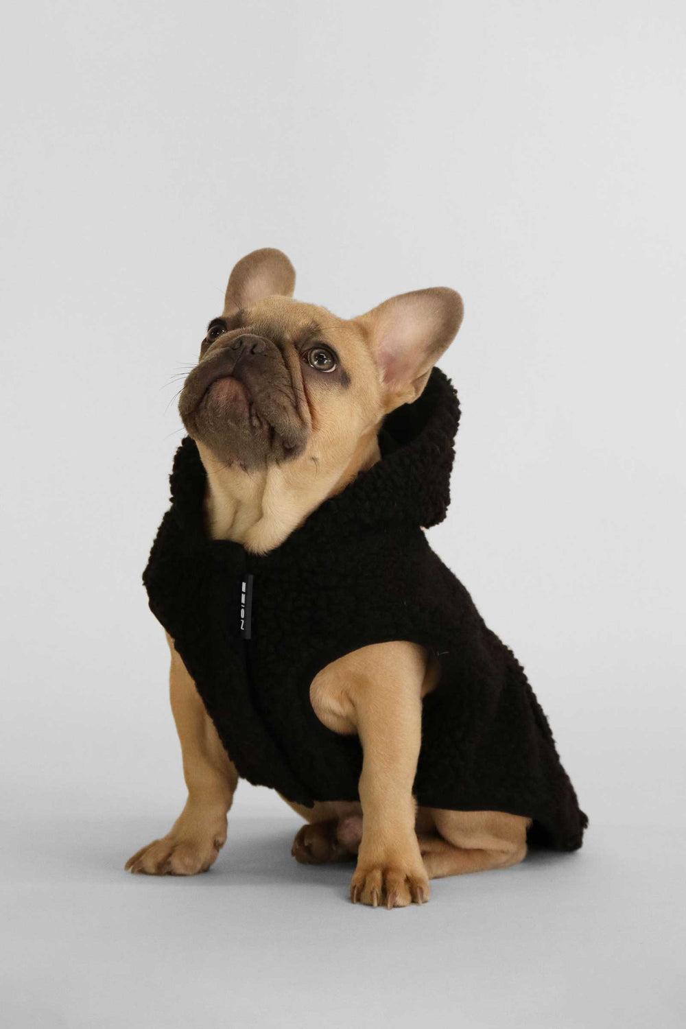 Kibbles - Black - Black (2)
