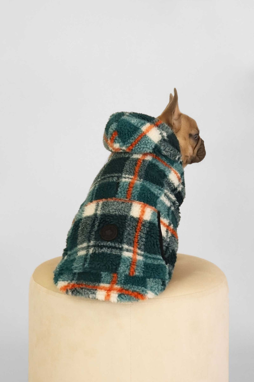 Kibbles - Teal - Teal (2)