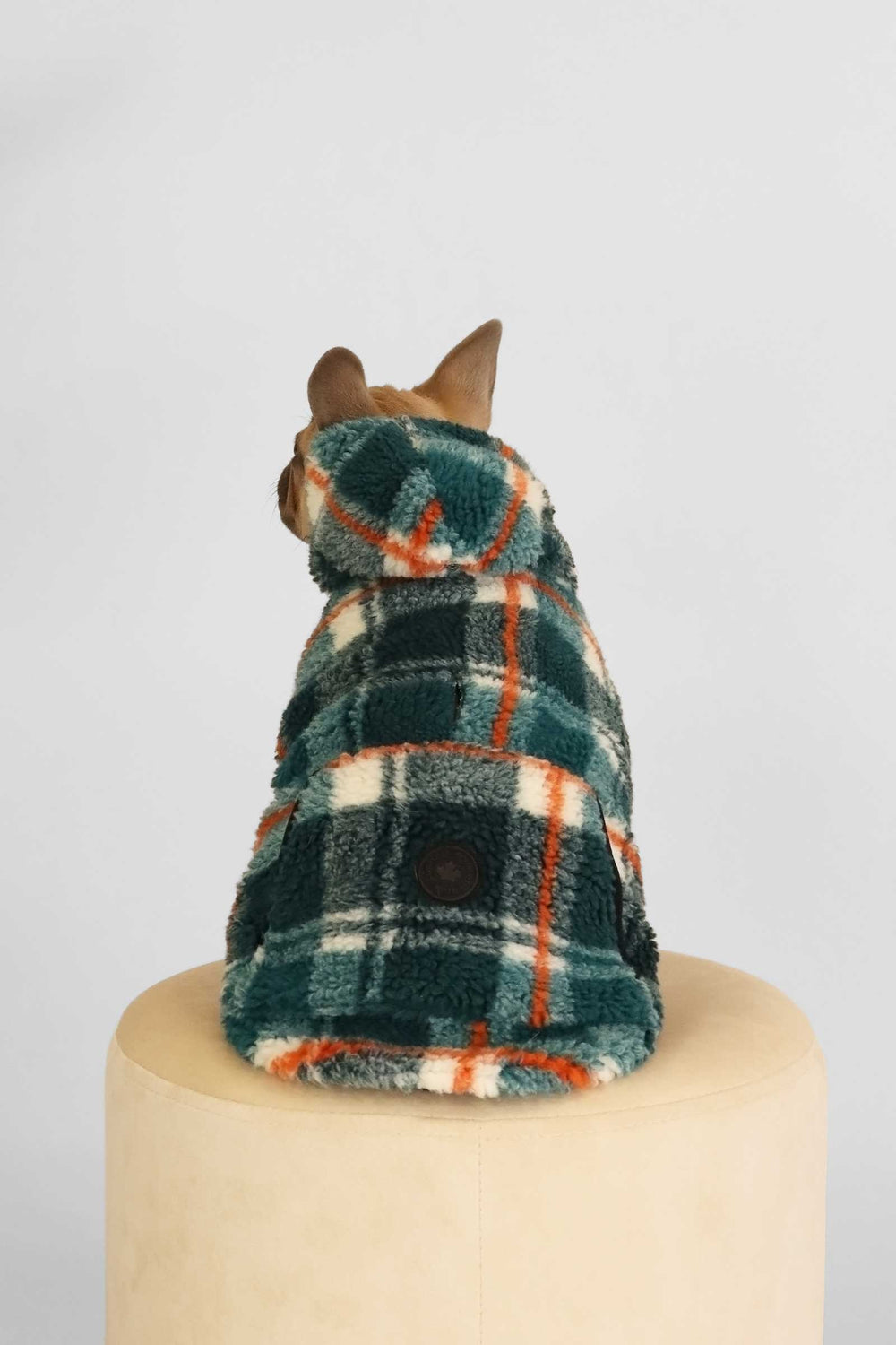 Kibbles - Teal - Teal (3)
