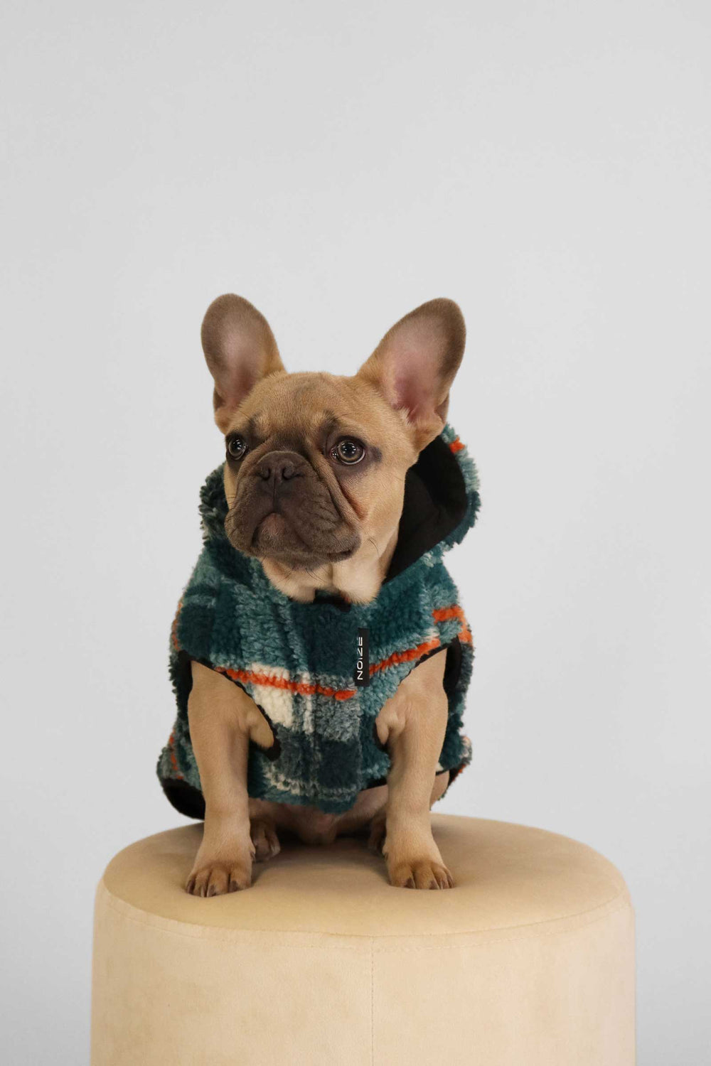 Kibbles - Teal - Teal (1)