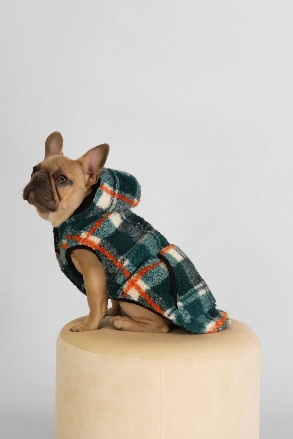 Kibbles - Teal - Teal (4)