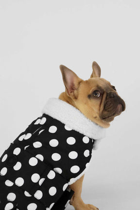 Black Polka Dots