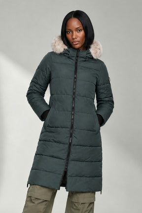 Spruce