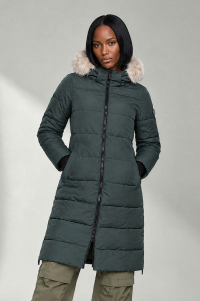 Spruce