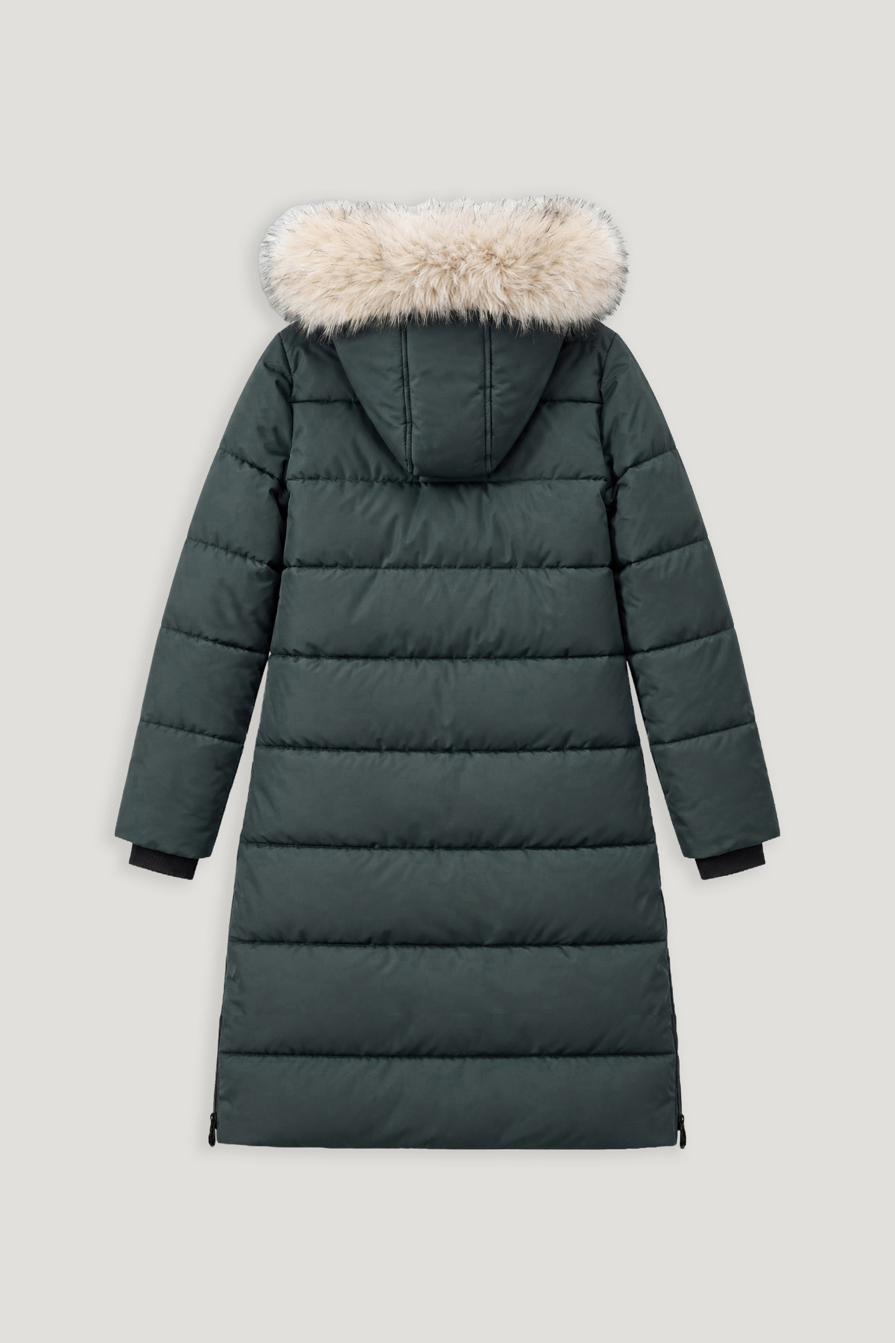 Spruce