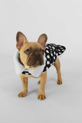 Black Polka Dots
